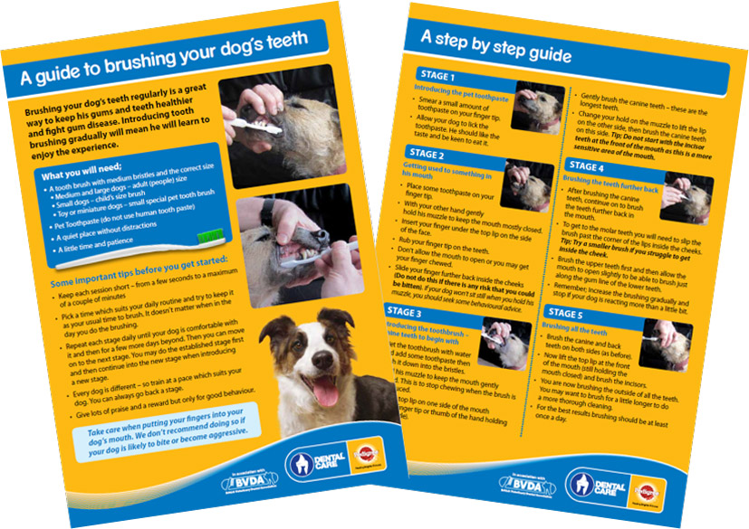 tooth brushing guide preview booklet