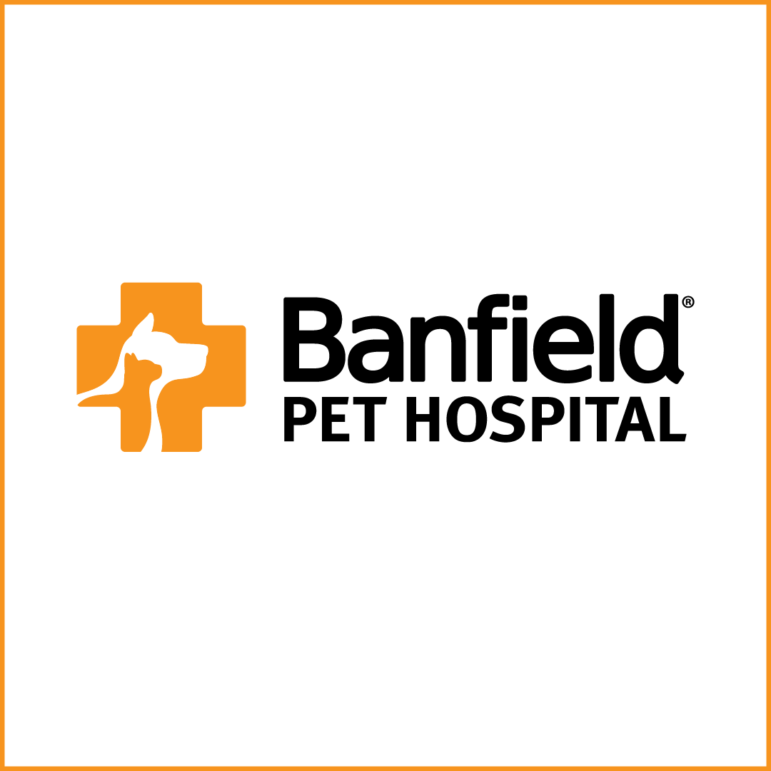 Banfield Square Large