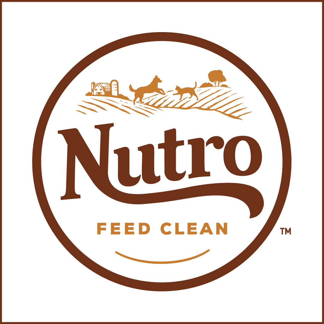 Nutro Square Large