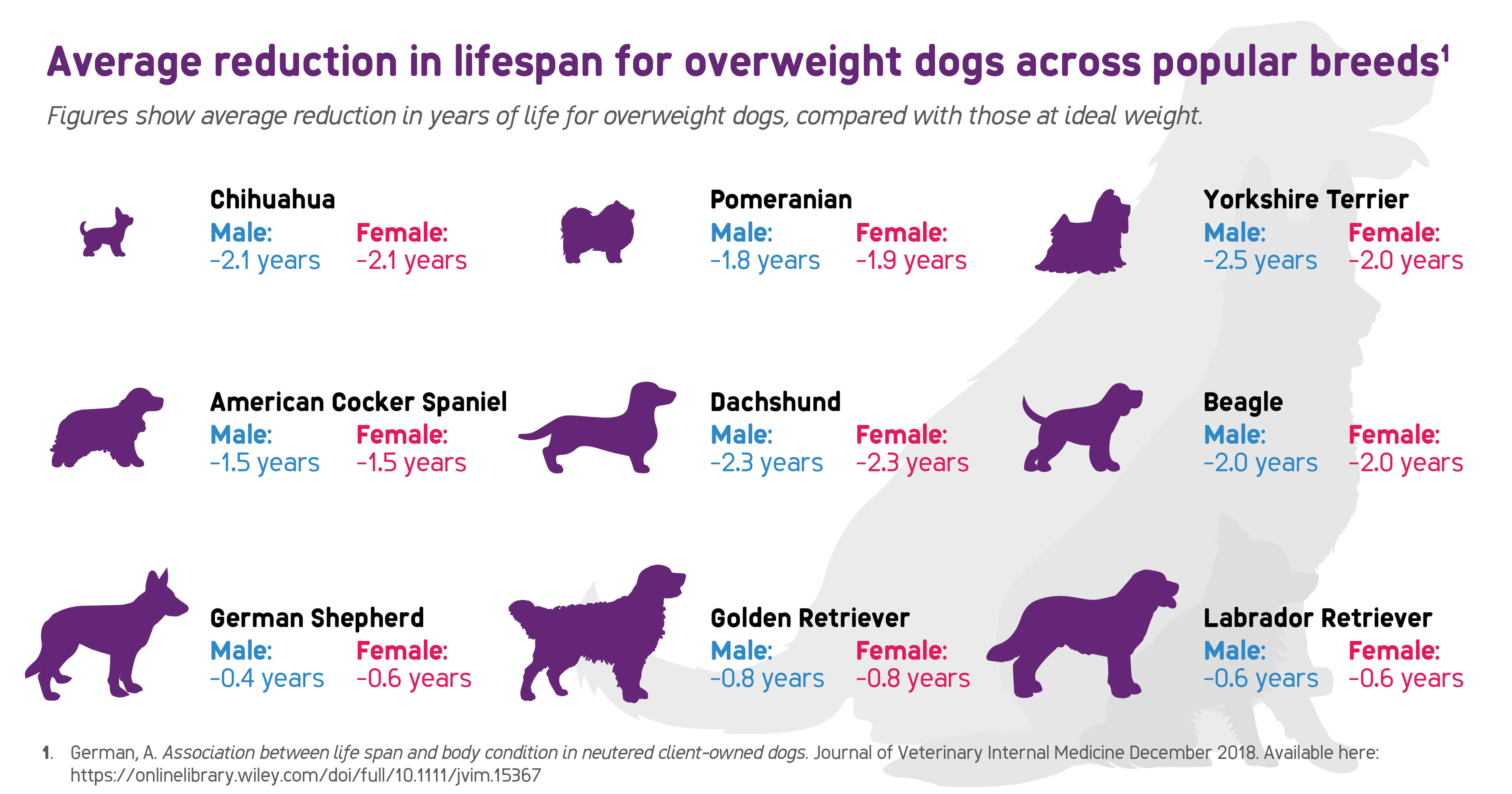 dog obesity lifespan infographic