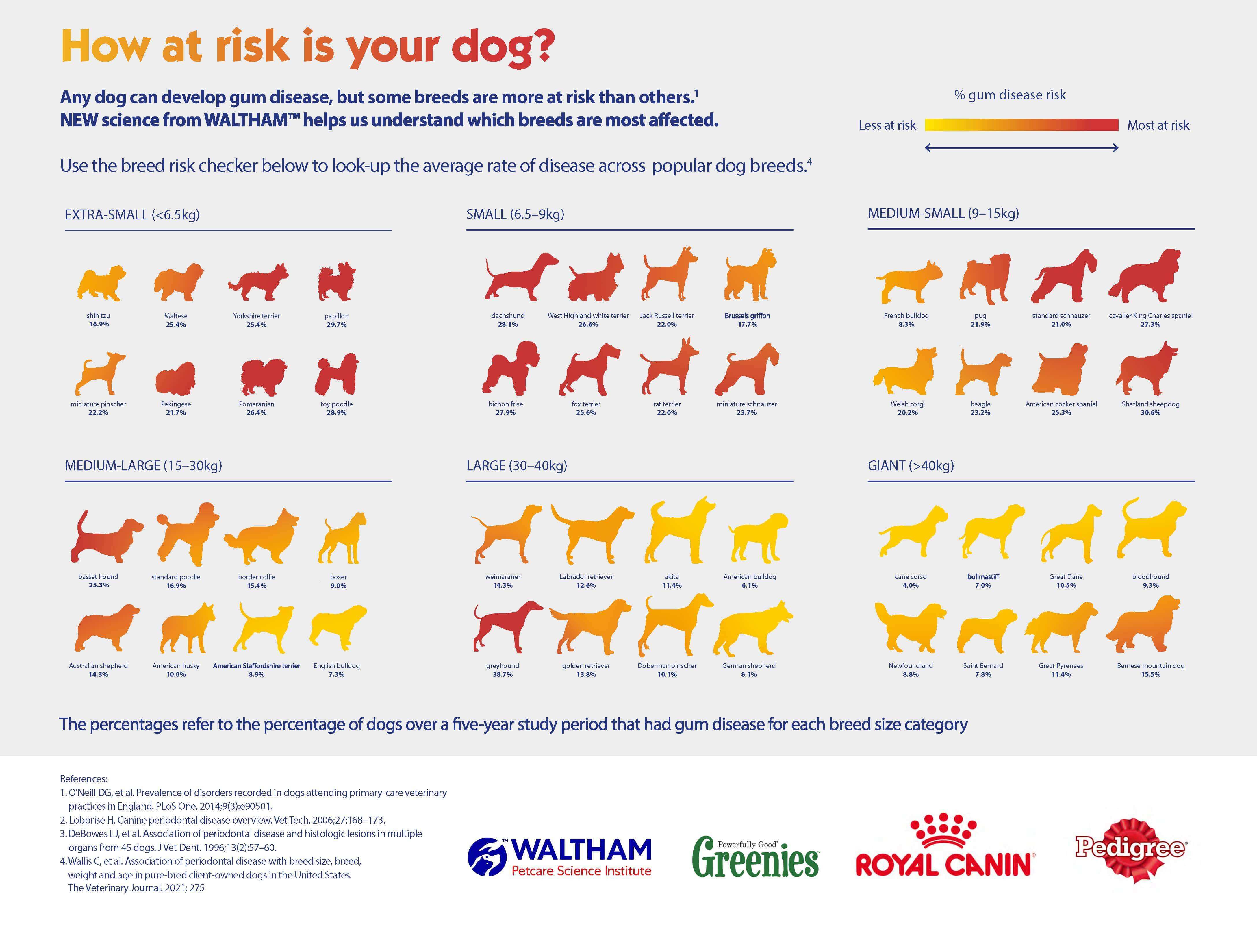 infographic dental disease prevalence across dog breeds